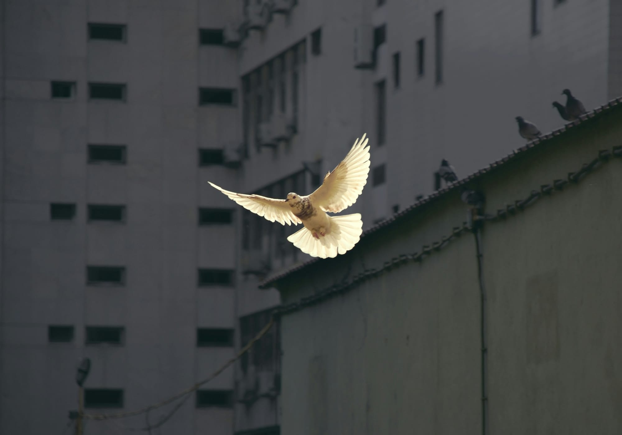 Image: Equmeniakyrkan / Sändaren